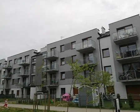 C29