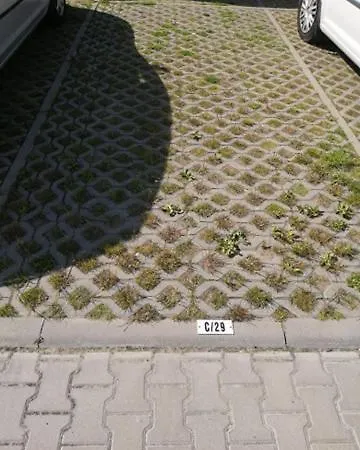 C29 * 코워브제크